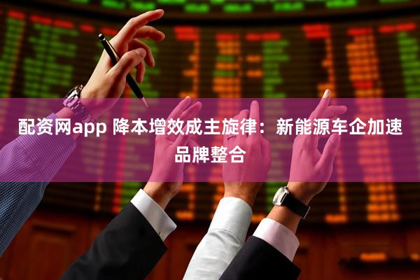 配资网app 降本增效成主旋律：新能源车企加速品牌整合